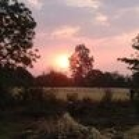 IMG 20250322 063750 1 optimized 1500