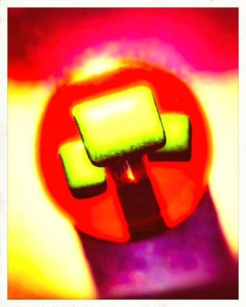Belladonna's chicles © Quetzalyis Van Luft