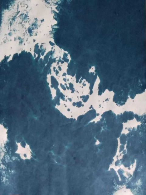 1000094534
