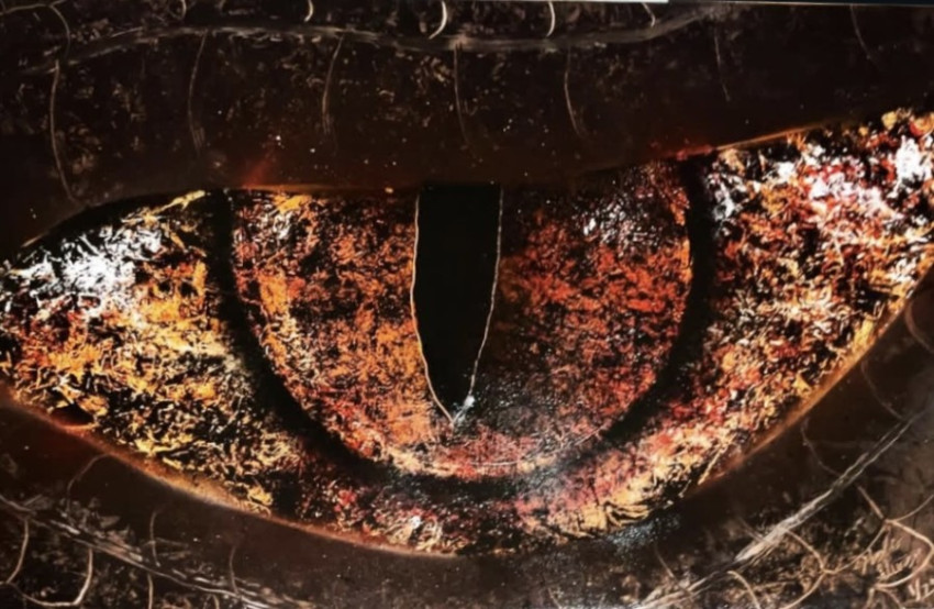 Infernal Gaze