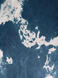 1000094534