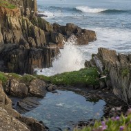 A beauty of sea
