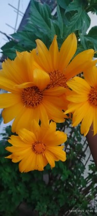 IMG 20250323 WA0028