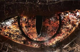 Infernal Gaze