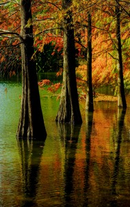 Untitled 324